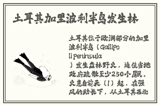 沈阳45岁老阿姨最后的巅峰